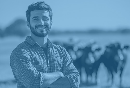 Vaga aberta em ************