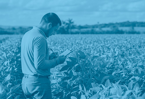 Vaga aberta em ************