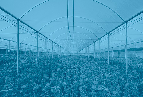 Vaga aberta em ************